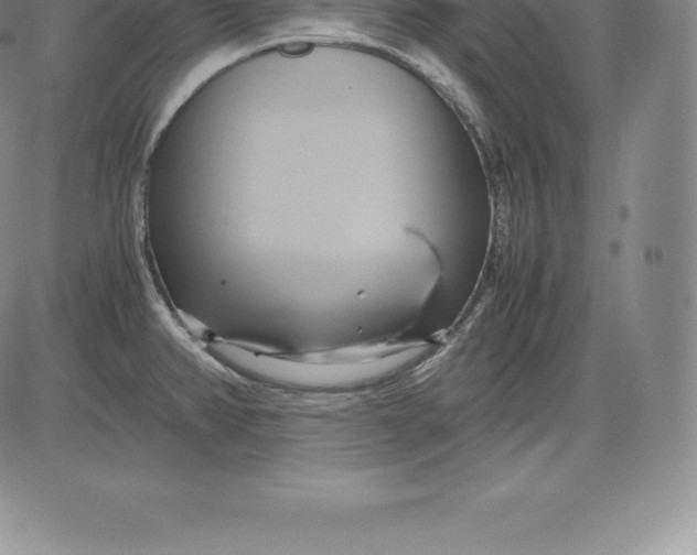 X0000083621382200703051558