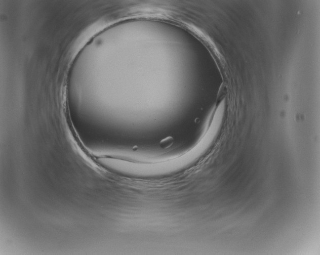 X0000083621383200703051558