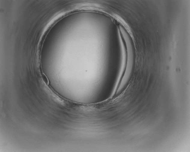 X0000083621384200703051558