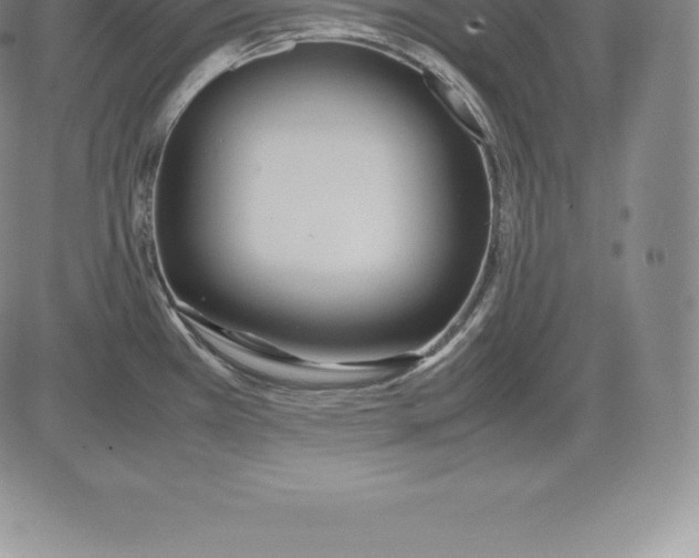 X0000083621385200703051558