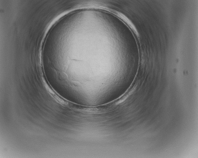 X0000083621388200703051558