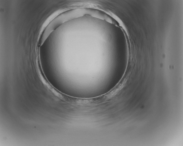 X0000083621389200703051558