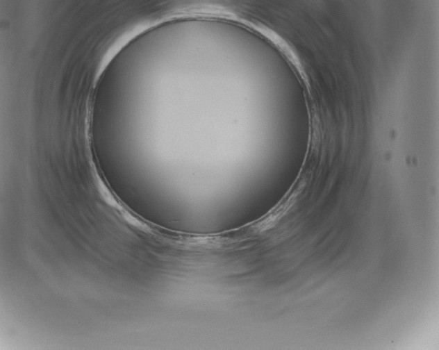 X0000083621390200703051558