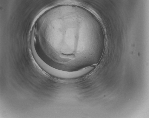 X0000083621392200703051558