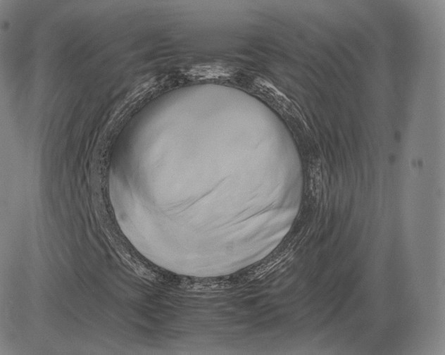 X0000083621393200703051557