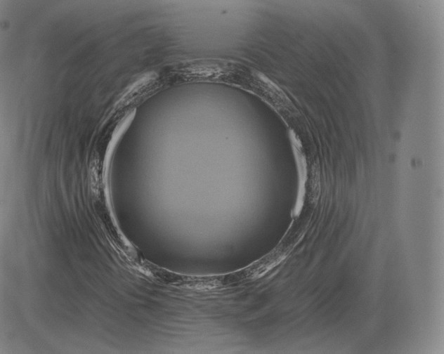 X0000083621394200703051557