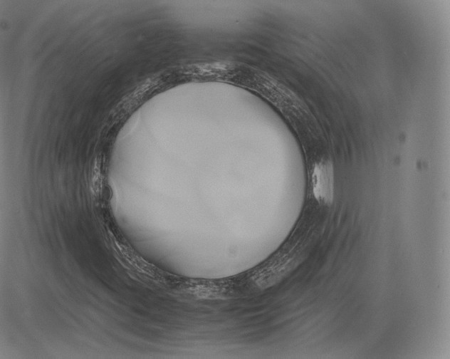 X0000083621395200703051557