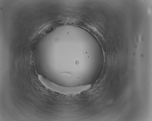 X0000083621399200703051557