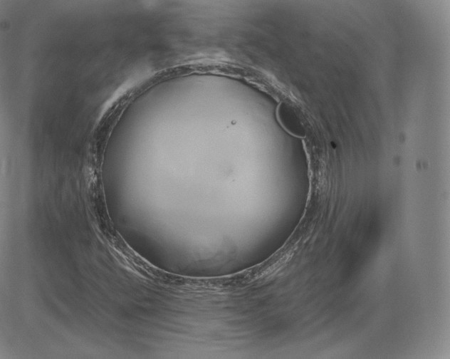 X0000083621400200703051557