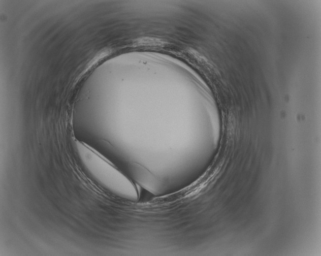 X0000083621401200703051557