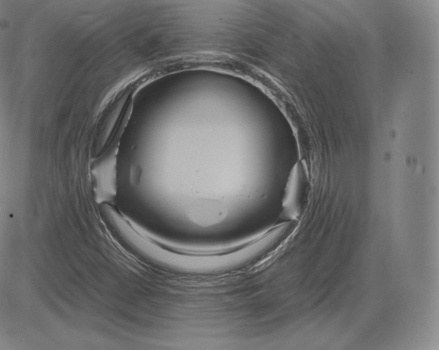 X0000083621402200703051557