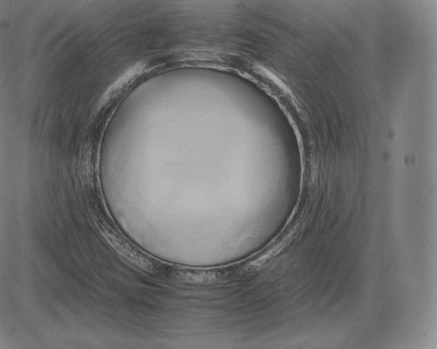 X0000083621403200703051557