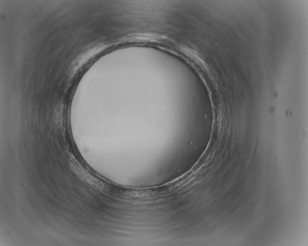 X0000083621404200703051557