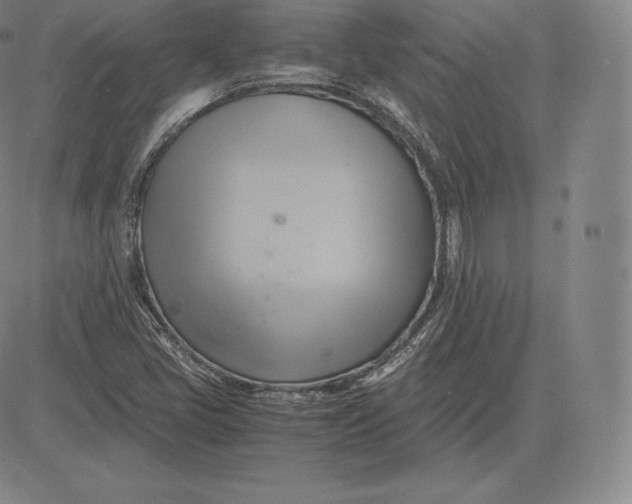 X0000083621405200703051557