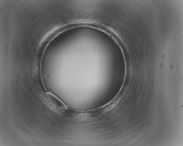 X0000083621406200703051557