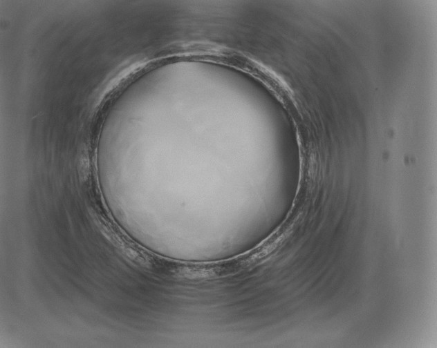 X0000083621407200703051557