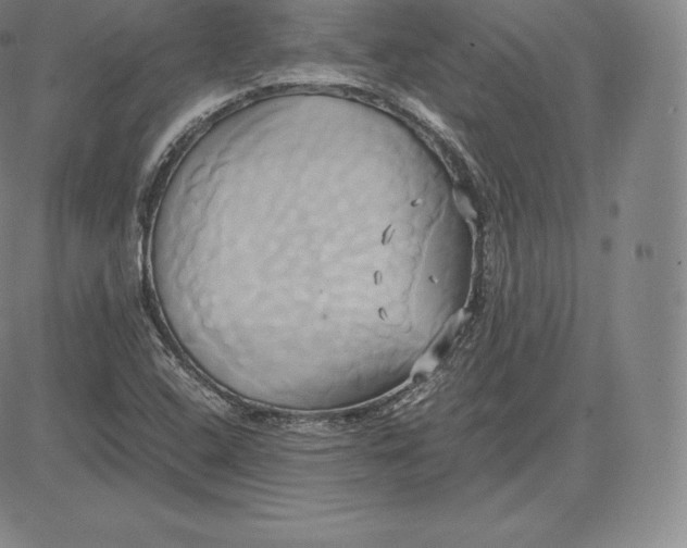 X0000083621408200703051557