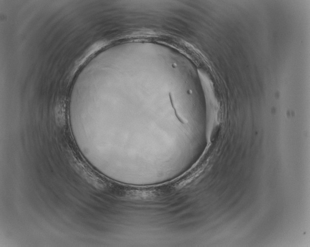 X0000083621409200703051557