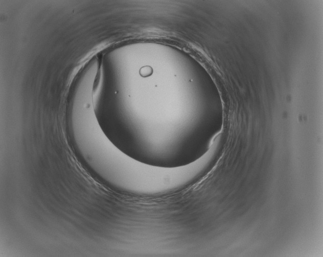 X0000083621410200703051557