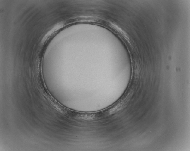 X0000083621411200703051557