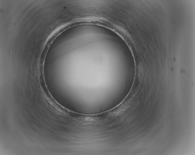 X0000083621412200703051557