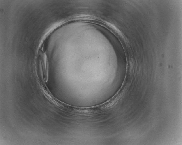 X0000083621413200703051557