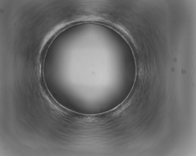 X0000083621414200703051557