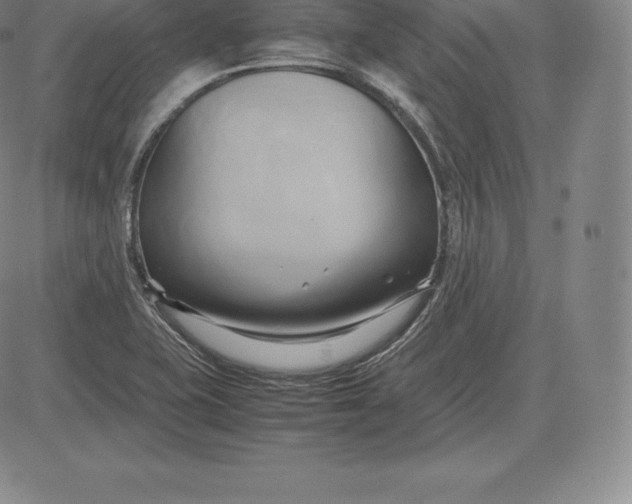 X0000083621415200703051557