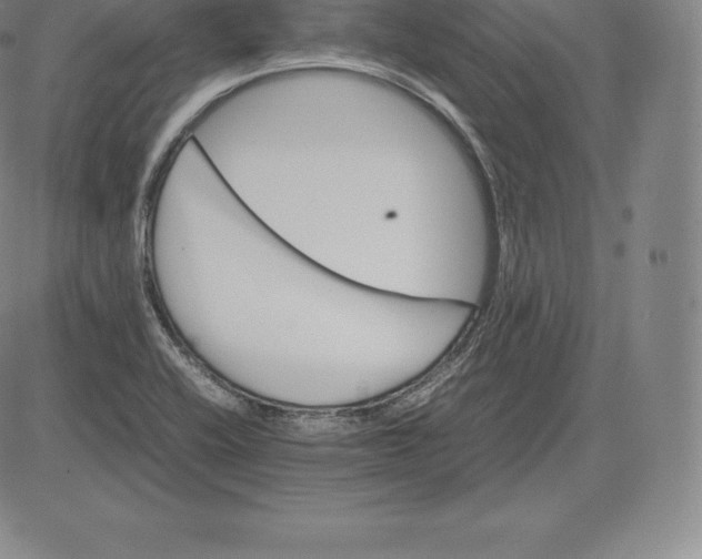 X0000083621416200703051557