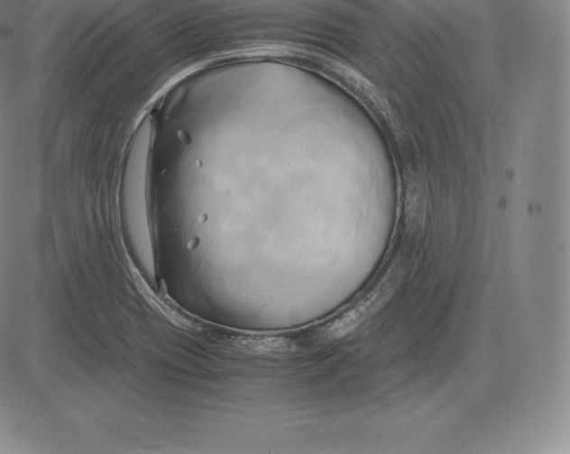 X0000083621417200703051557