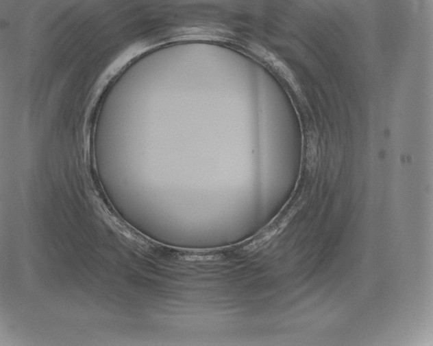 X0000083621419200703051557