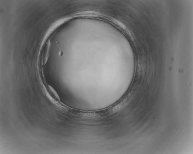 X0000083621421200703051557