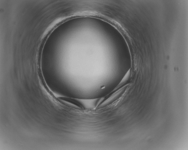 X0000083621422200703051557