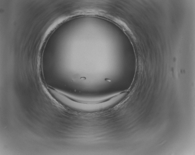 X0000083621424200703051557