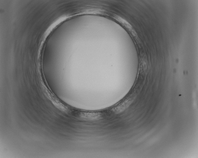 X0000083621427200703051557