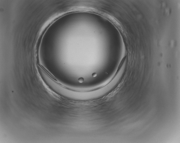 X0000083621430200703051557