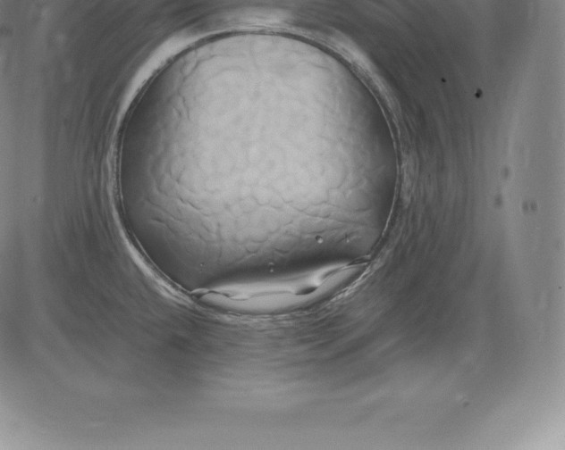 X0000083621432200703051557