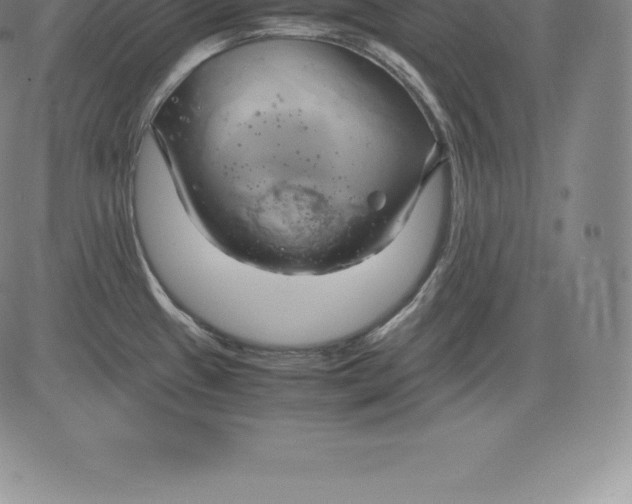 X0000083621433200703051557