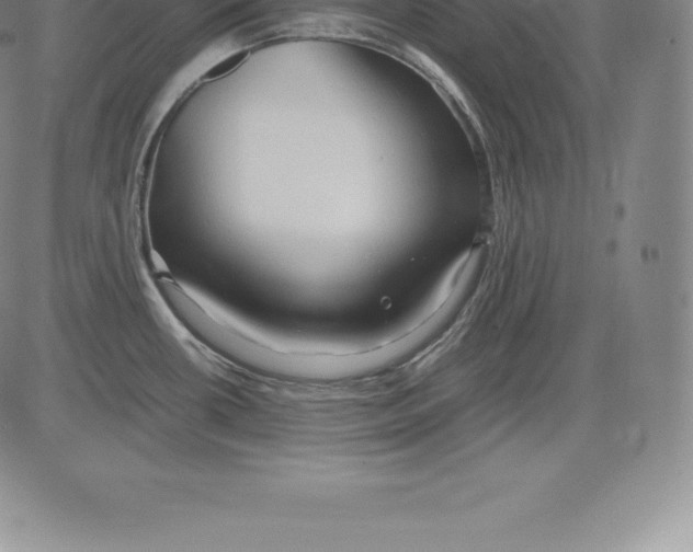 X0000083621434200703051557