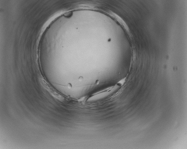 X0000083621435200703051557