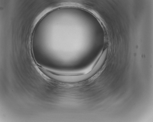 X0000083621438200703051558