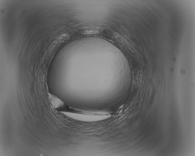 X0000083621441200703051557