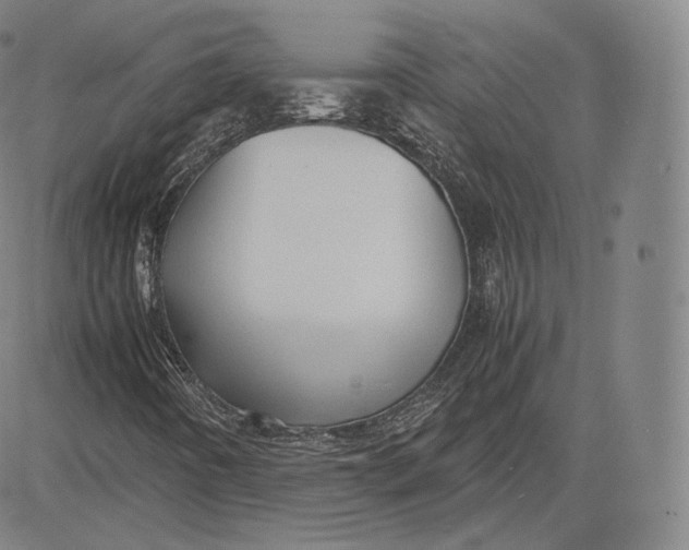 X0000083621442200703051557