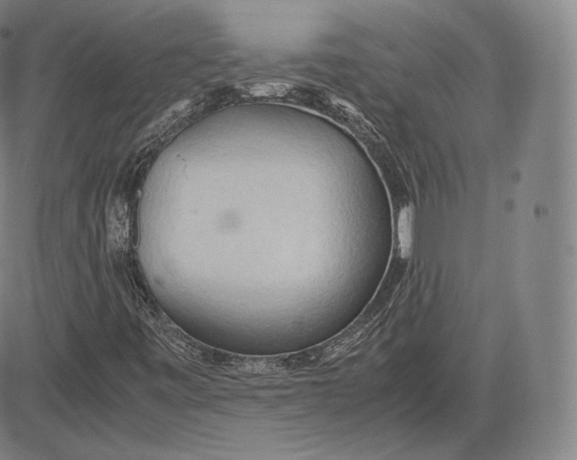 X0000083621443200703051557