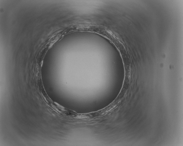 X0000083621445200703051557