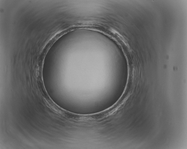 X0000083621449200703051557