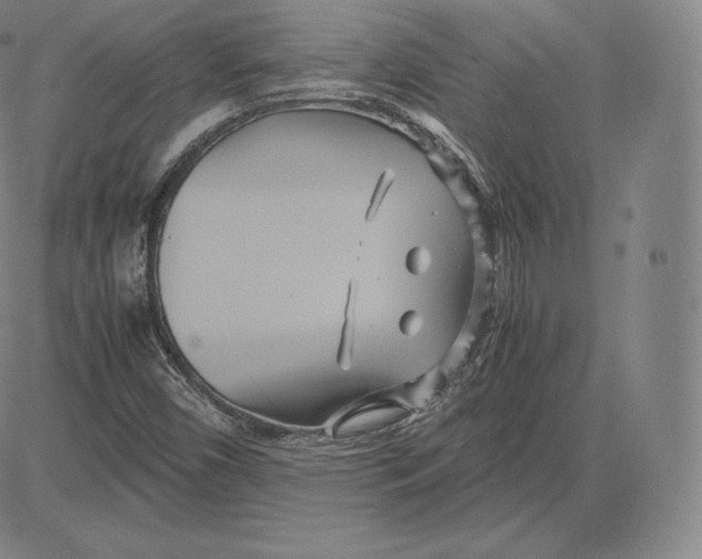 X0000083621450200703051557