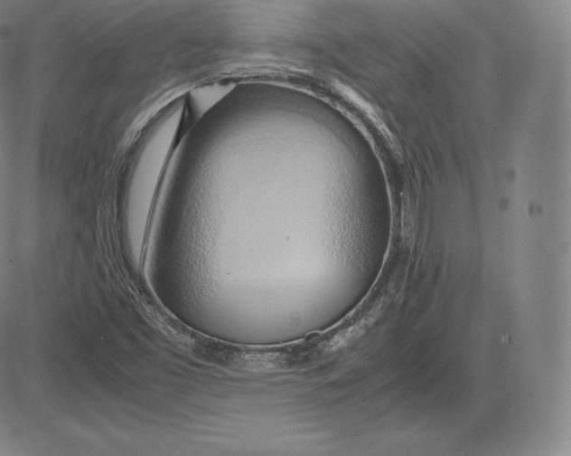 X0000083621453200703051557