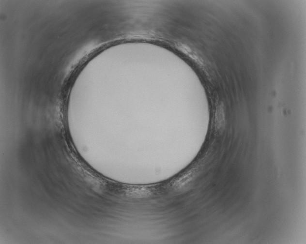 X0000083621454200703051557