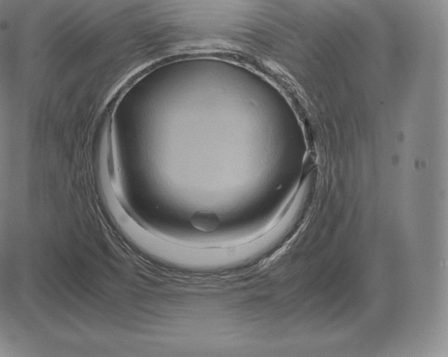 X0000083621457200703051557